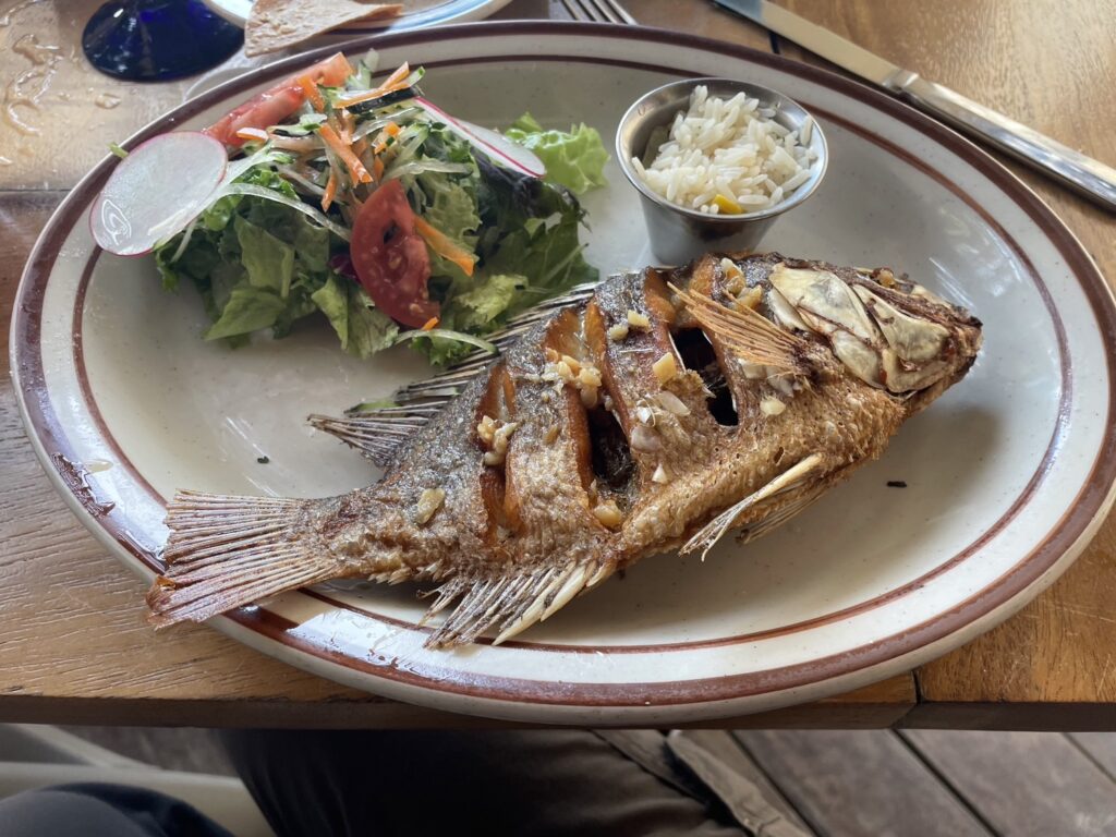 ハイアットジーヴァのビーチサイドのレストラン、Habanerosで食べた魚料理の写真
