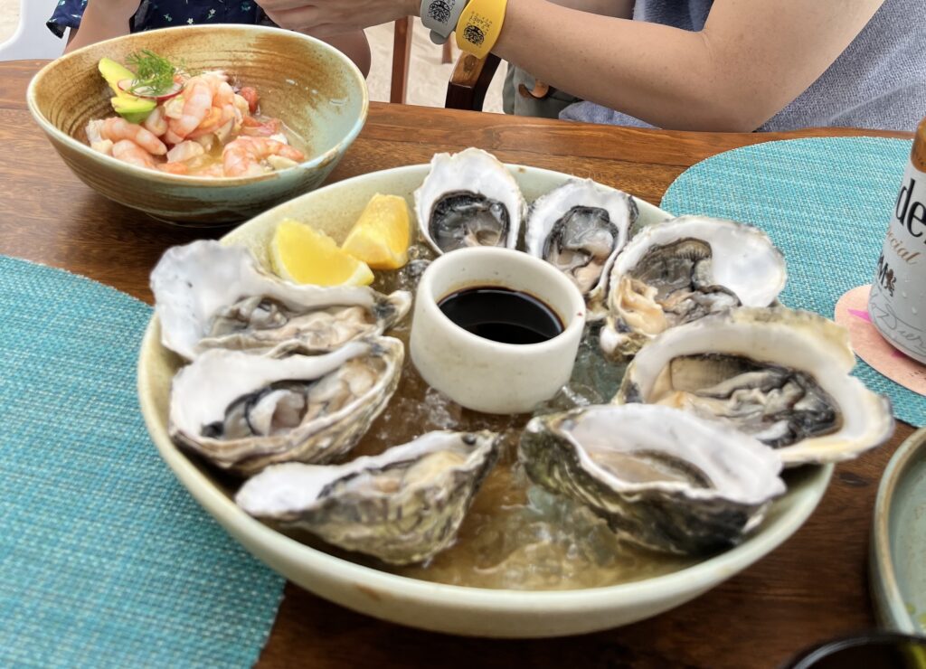 シカレメキシコで頼んだ生ガキを撮影した写真