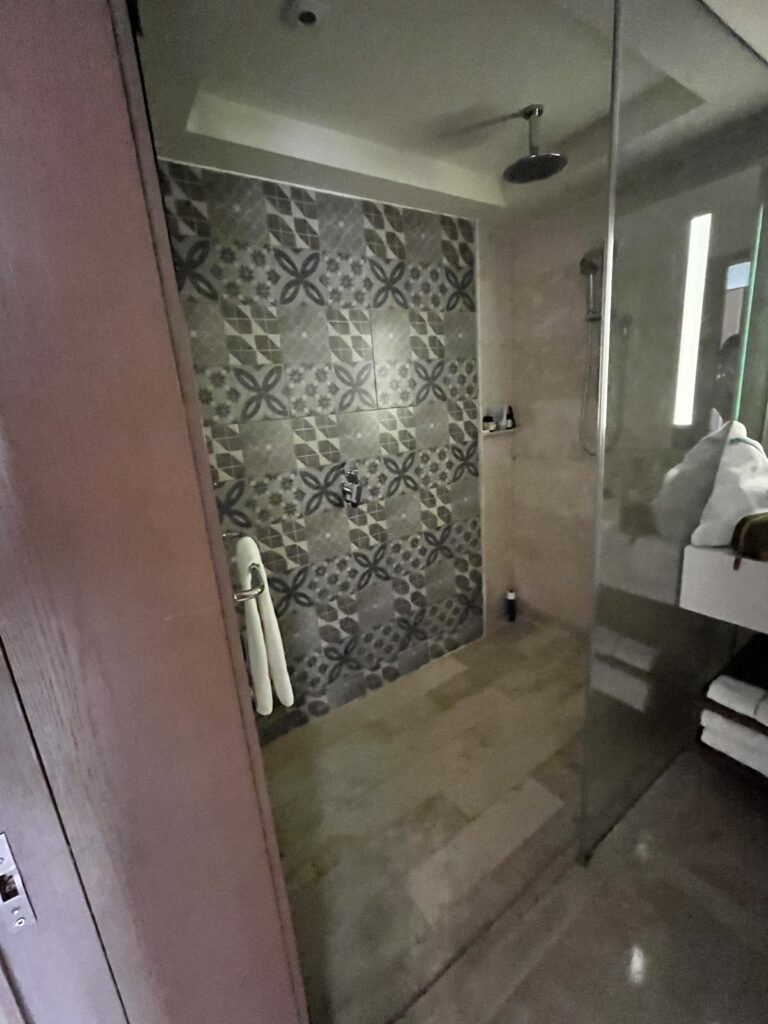 ハイアットジーヴァのシャワールームを撮影した写真