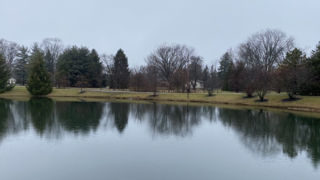 アメリカの住宅街の池を撮影した写真。